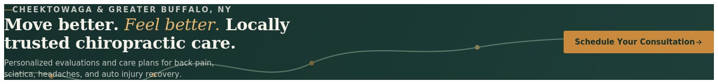 Cheektowaga NY Chiropractor